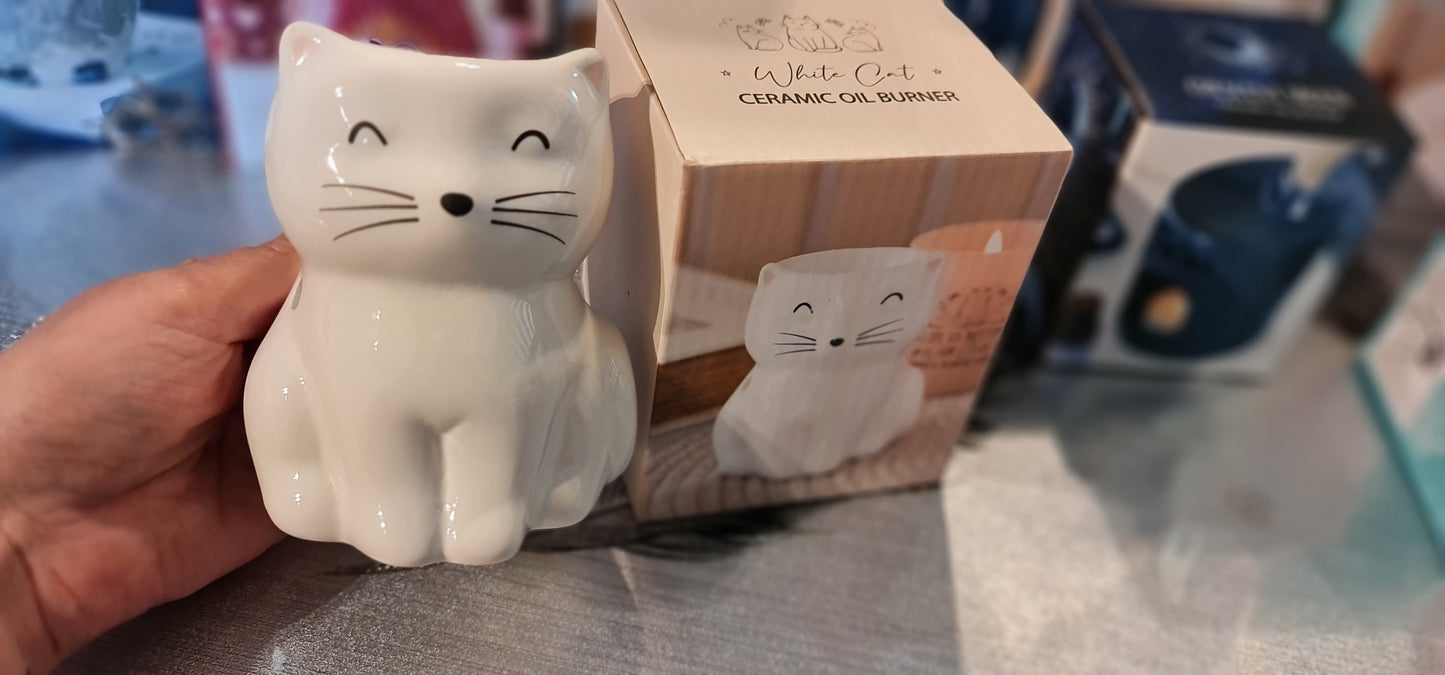 Brûleur chat